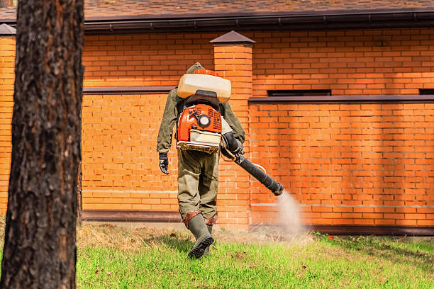Trusted Bed Bug Control service in White Bluff, TN - Nex Pest Control
